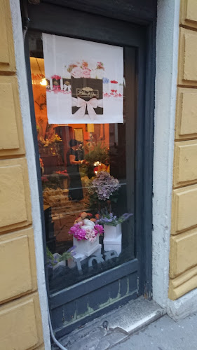 Izlog cvjetarne Jona